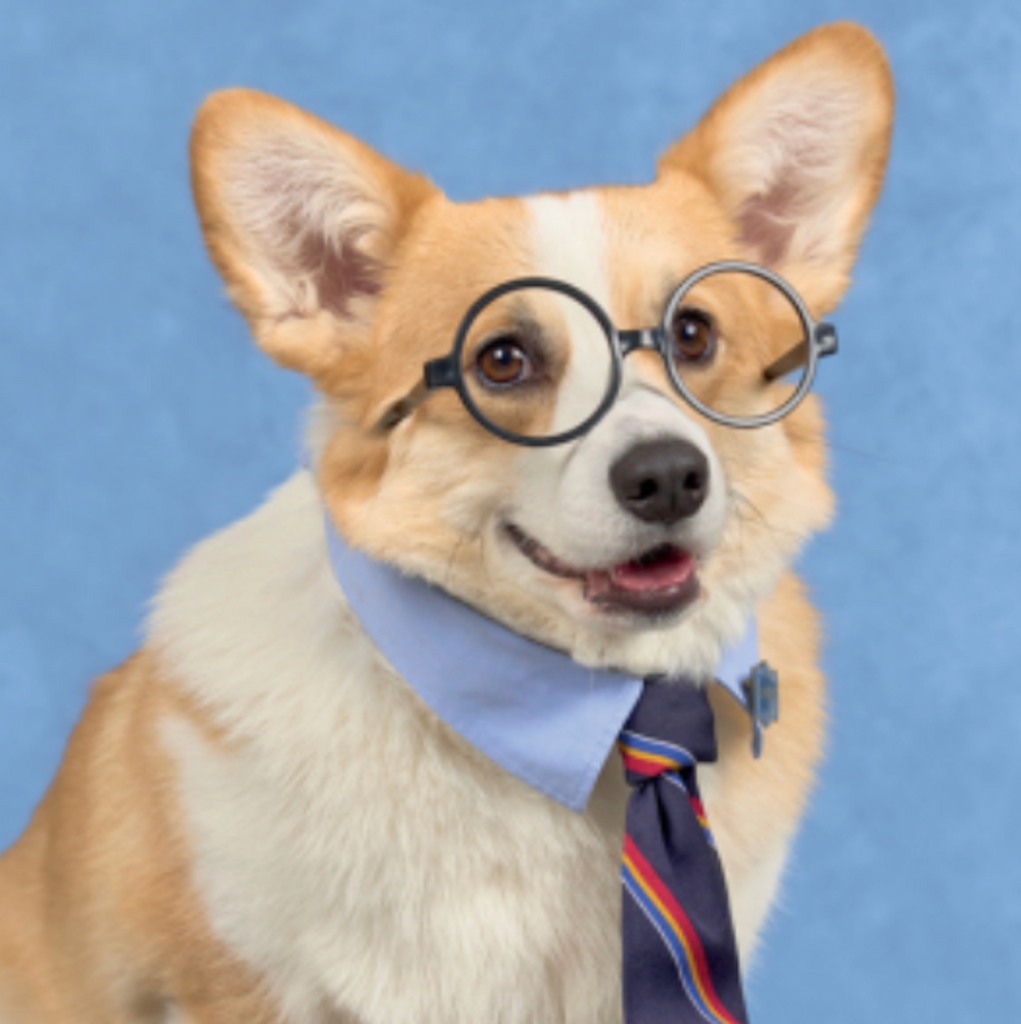 Picture of a handsome boy wearing round glasses and a tie.