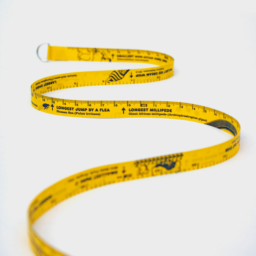 Yellow tape with black unit of measure and world record facts printed on it. 