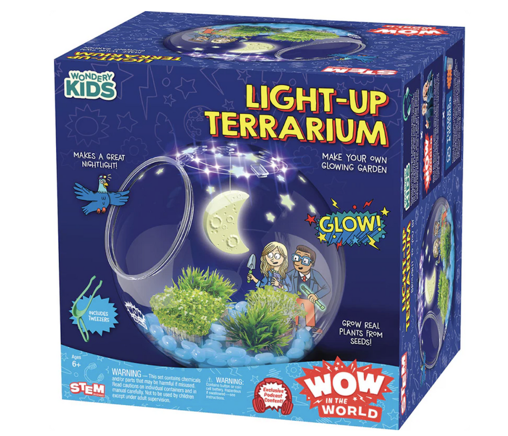 A blue box with a picture of the Light Up Terrarium assembled with the pebbles, plants and glow in the dark stars that come in the kit. 