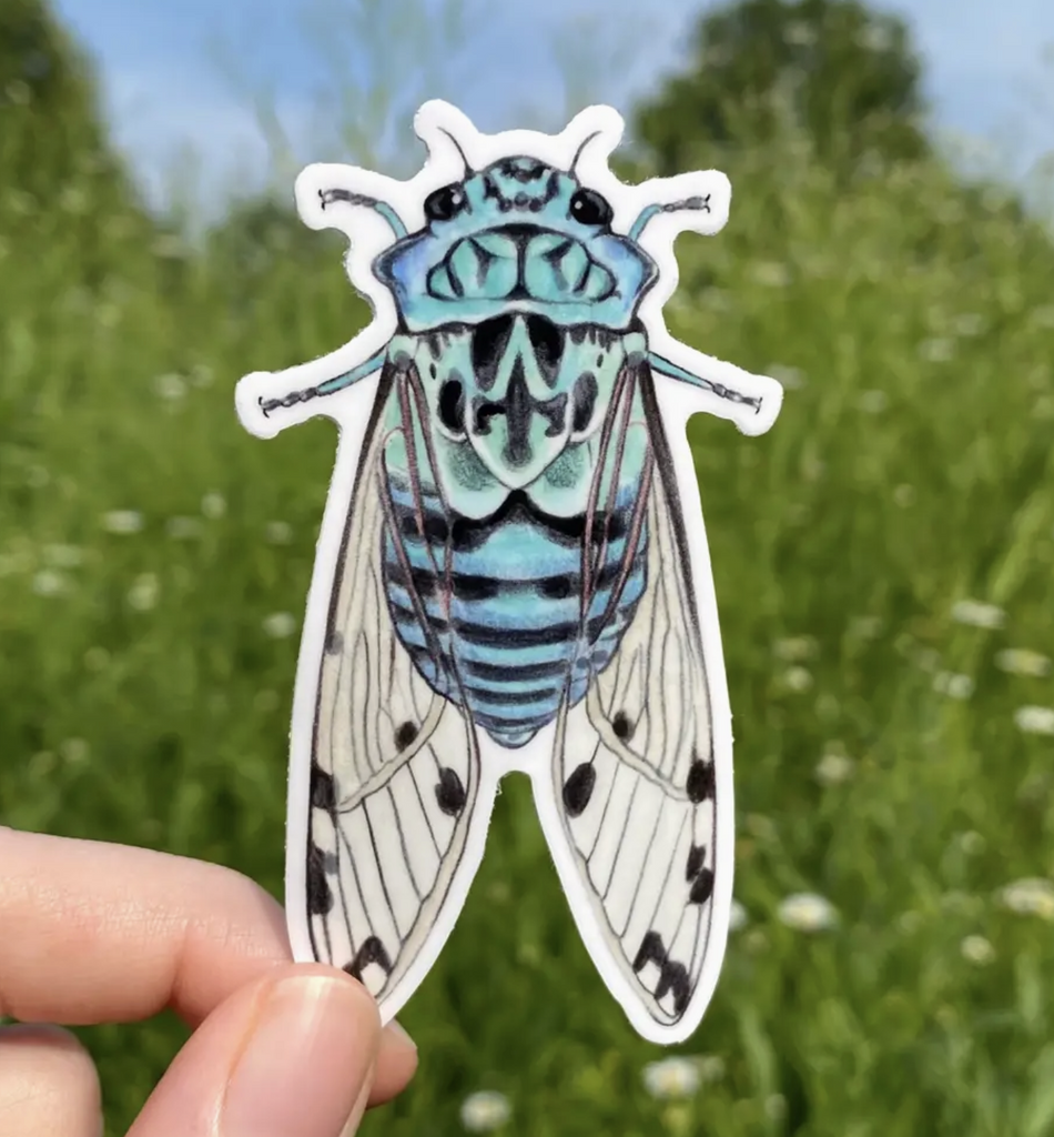 Die cut vinyl sticker of a Zammara Cicada. 