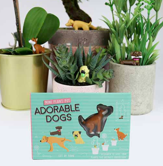 Adorable Dogs Plant Markers in the box in front of plants. 