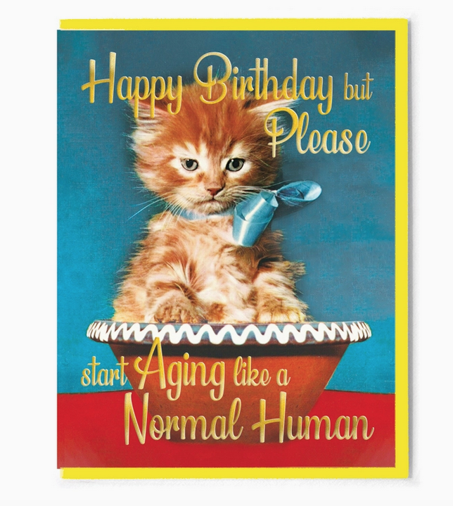 Image of an orange kitty with a blue ribbon around it's neck  in a bowl that reads "Happy Birthday but Please start Aging like a Normal Human"