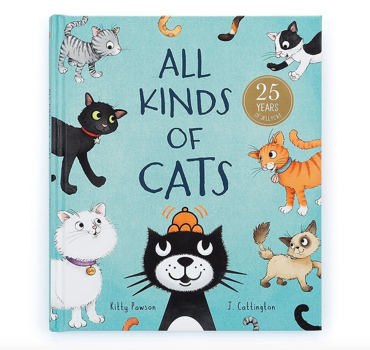 Cover of All Kinds of Cats hardcover book. It has a light blue green background with illustrations of many different cats. 