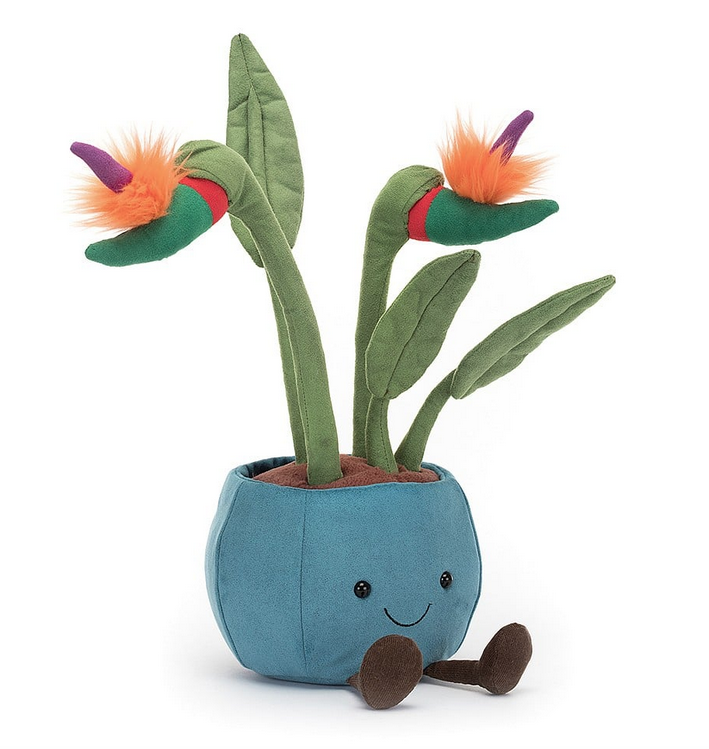 The plush Bird of Paradise potted plant. With a bright blue pot and green stalks to the bright orange and purple blooms this potted plant will be with you for years. 