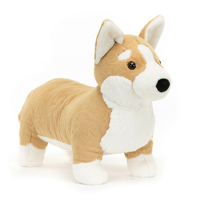 Betty Corgi huge plush has ginger fur with creamy splodges, cloudy paws and a lovely inky nose. 
