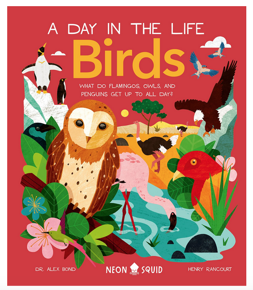 Cover of A Day in the Life Birds: What do flamingos, owls, and penguins get up to all day? by Dr. Alex Bond.