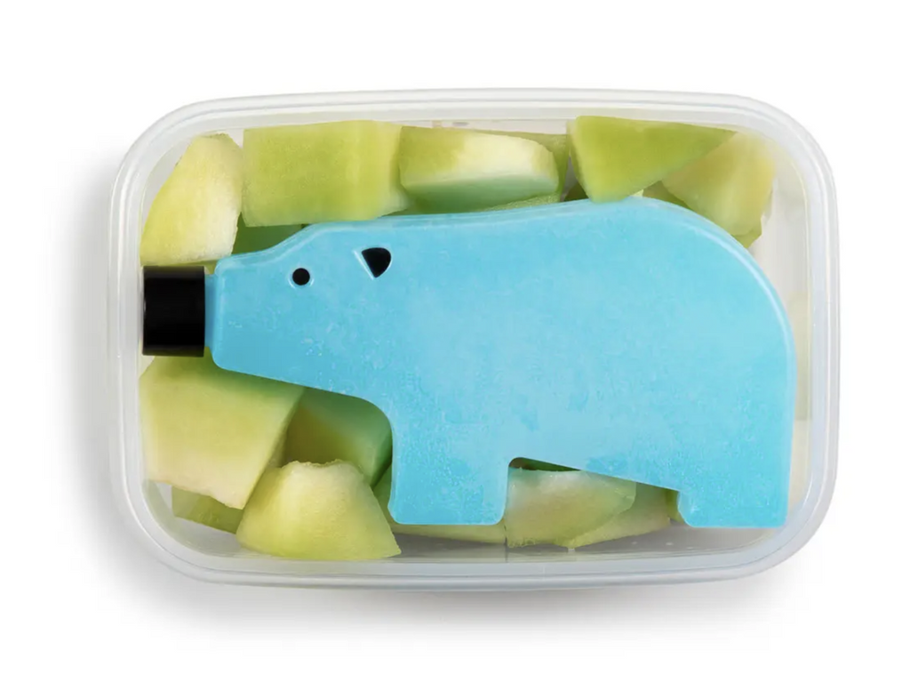 Blue polar bear shaped ice pack in a snack of fruit.