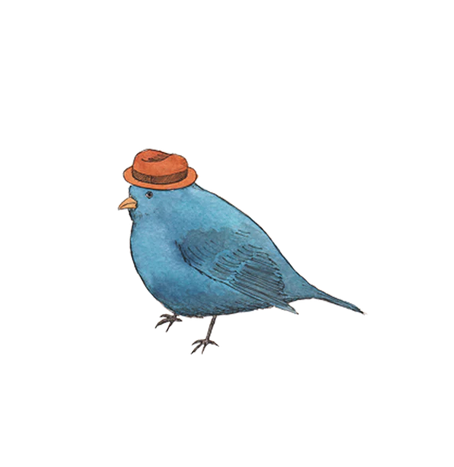 Bird wearing a hat temporary tattoo.