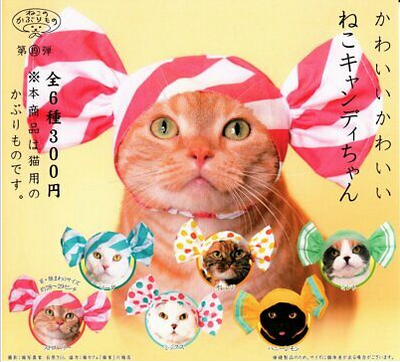 Cat Cap Candy yellow box cover featuring an orange tabby wearing the red and white striped candy cap. Box cover also shows a variety of kitties wearing each hat you might get!