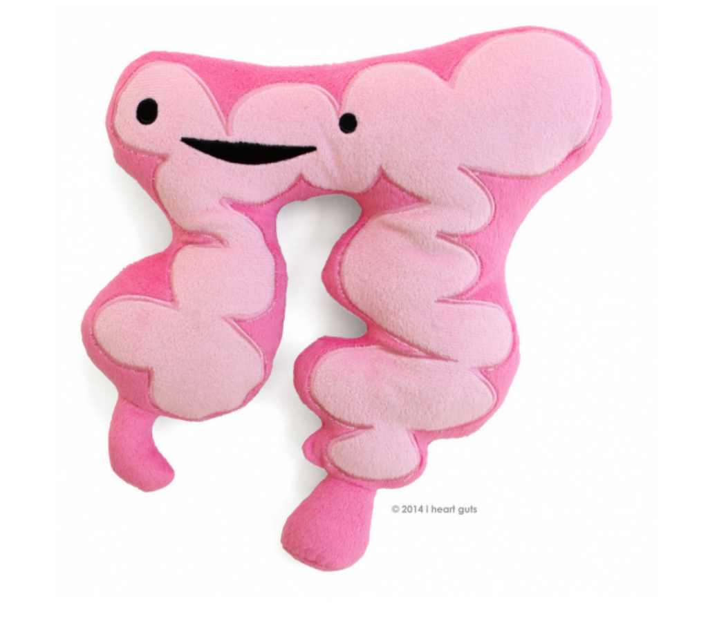 Pink plush anatomical colon with black embroidered eyes and mouth.