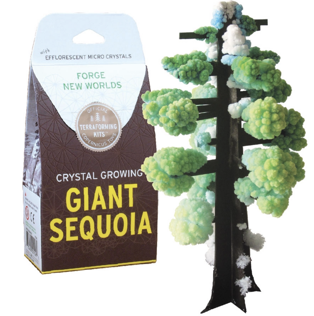 The Giant Sequoia crystal tree in process of growing crystals. The paper tree trunk with branches has crystals in shades of green growing on the branches. The package is brown with gold lettering.