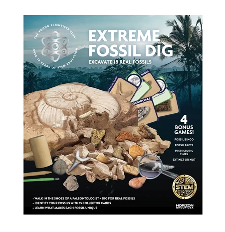The Extreme Fossil Dig box with a picture of the fossils included. From shark teeth, to crustaceans. 