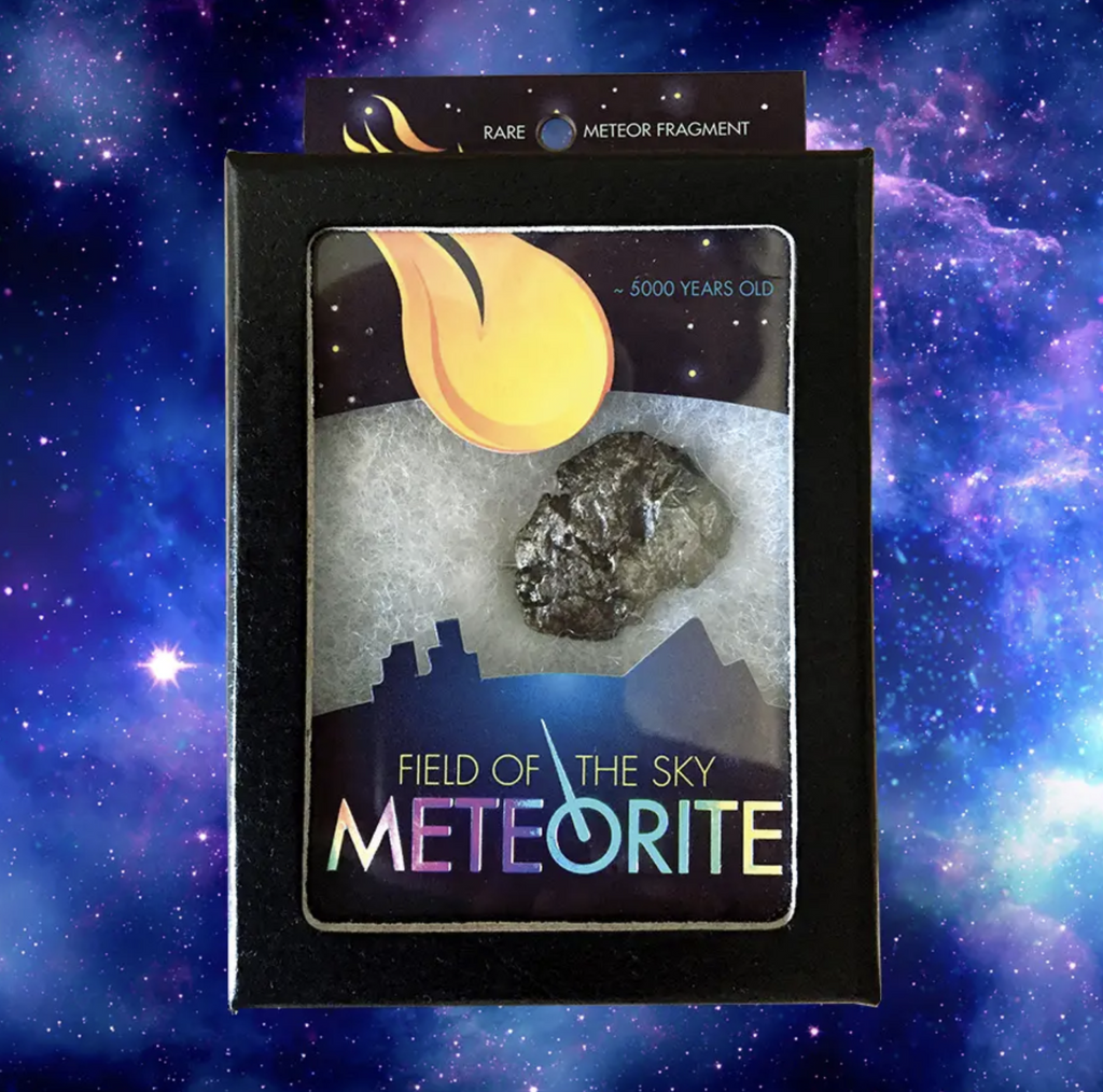Rare meteorite fragment.