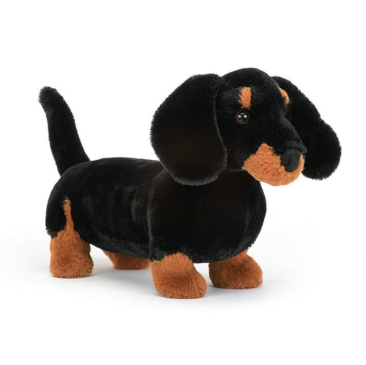 Plush Sausage Dog Freddie standing up facing front with his black coat and brown paws and nuzzle. 