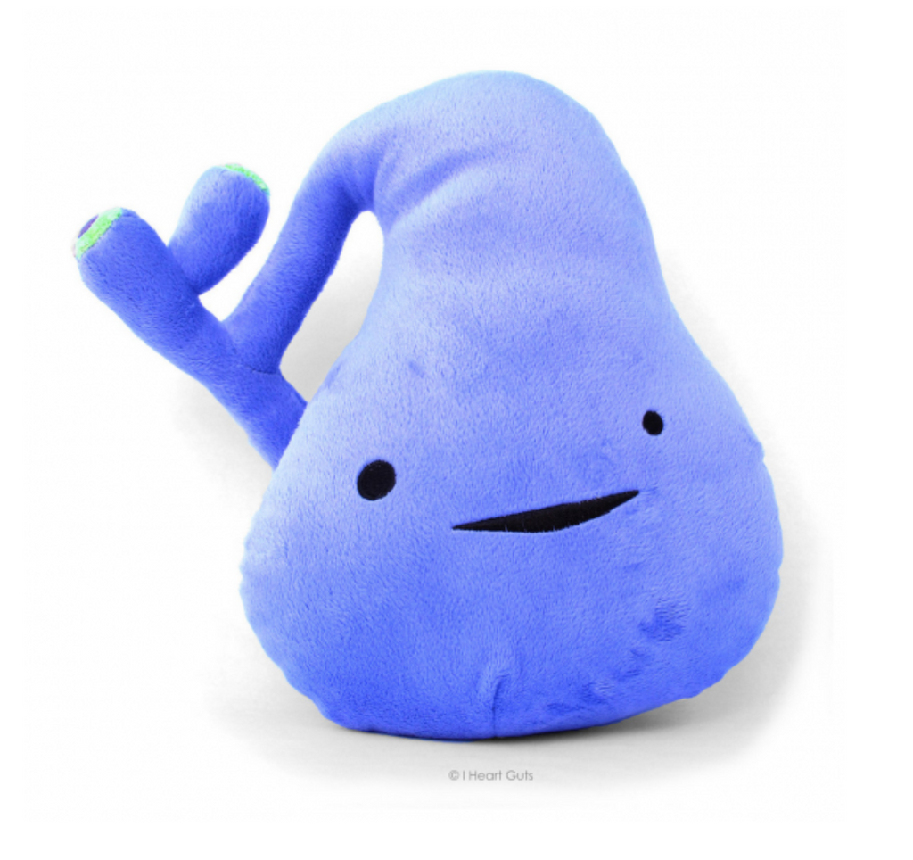 Purple plush gallbladder with a happy embroidered face.