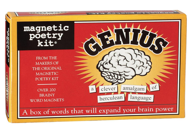 Genius Magnetic Poetry Kit, the box is red with a brain illustrated and several smart word magnets on it. 