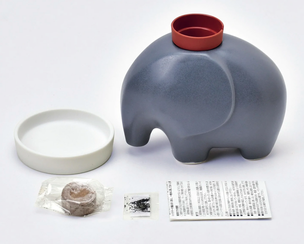 Gray elephant ceramic planter , soil pod, seeds, instructions, and watering dish.