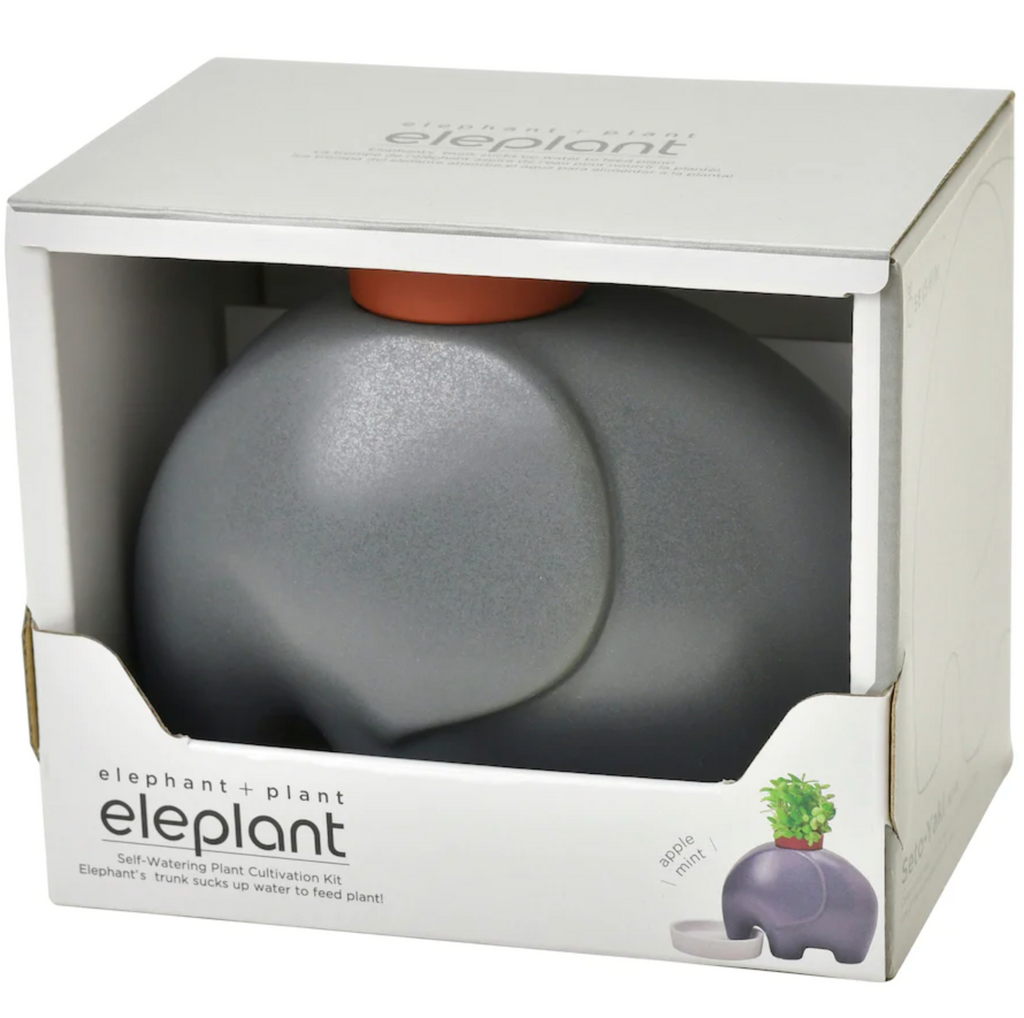 Boxed Gray elephant planter.