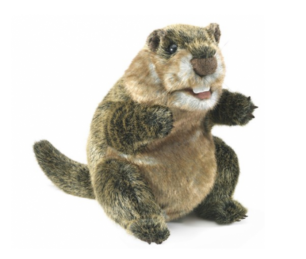 Groundhog puppet with brownish tan fur and buck teeth.