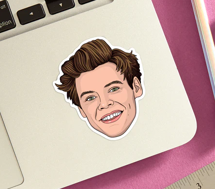 100 Adesivi Harry Styles | Pacco Vinile Impermeabile | Stickers Per Laptop, Bottiglie, Skateboard | Regalo Fan