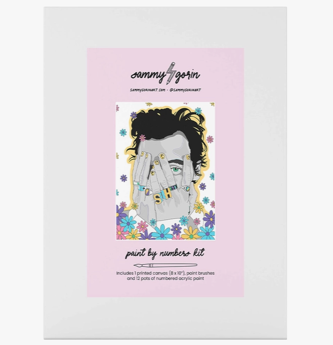 Front of Harry Styles Paint by Number Kit box. 