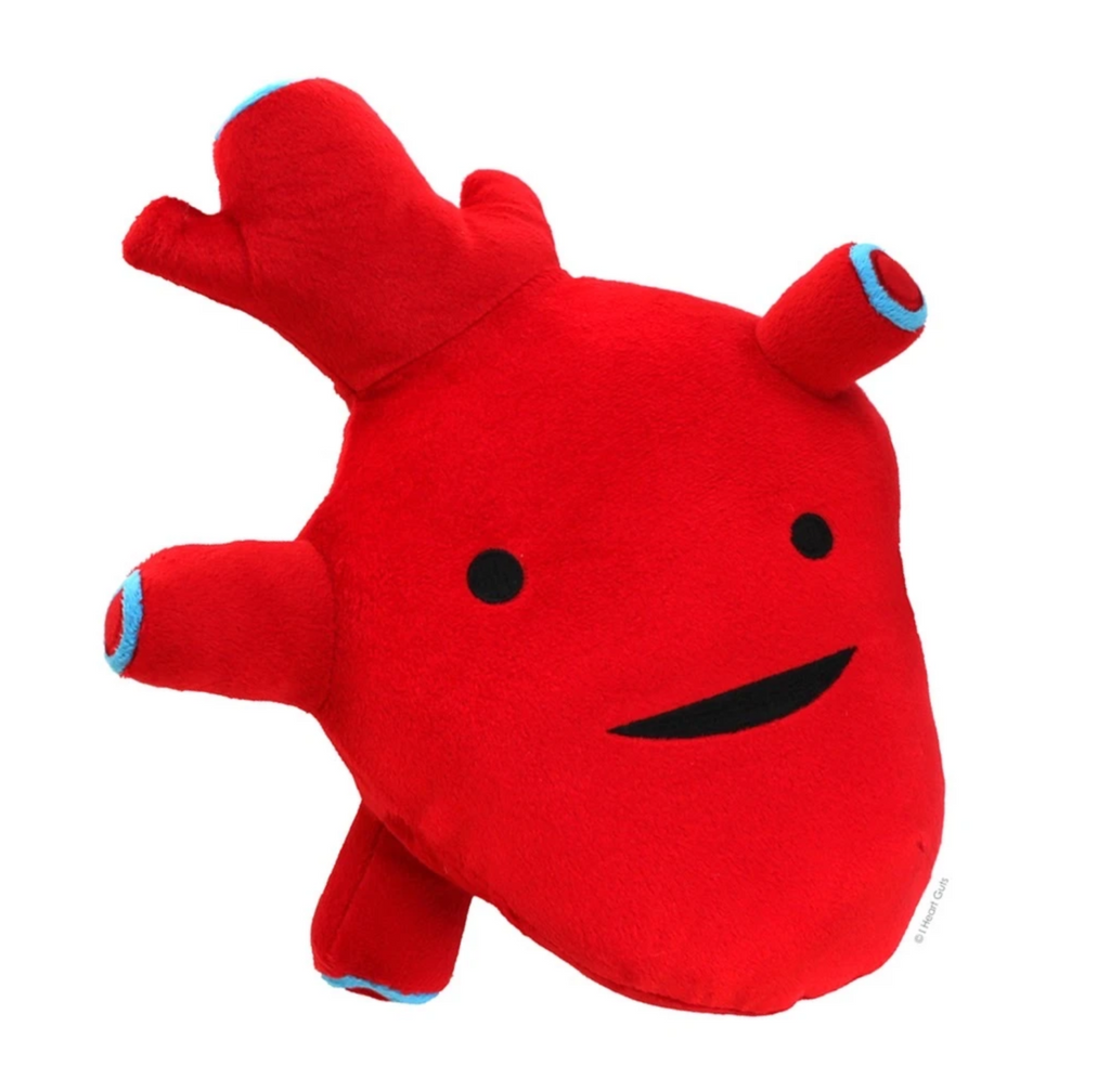 Red plush anatomical heart with black embroidered eyes and mouth. Valves have blue rings on their top edges.
