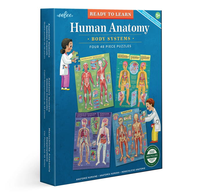 Ready to Learn Human Anatomy 4-Puzzle 48 Piece Set box. Shows the included are four information-packed 48 piece puzzles.