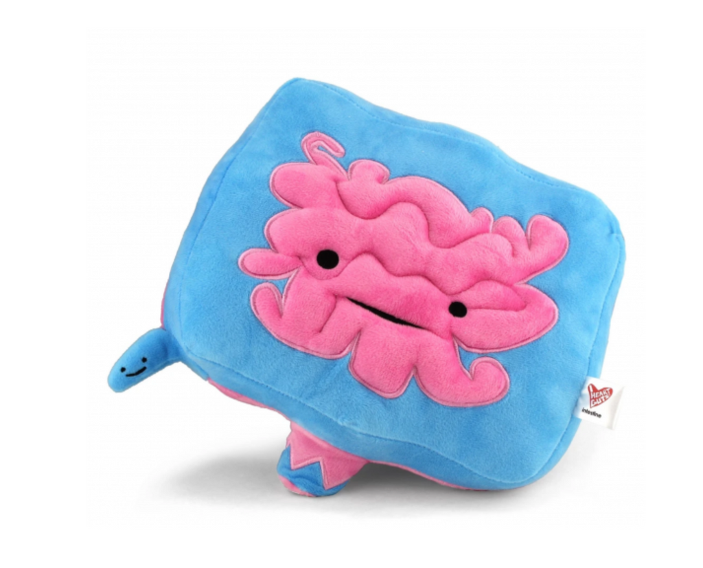 Plush anatomical pink and blue intestines with embroiderd black eyes and mouth.