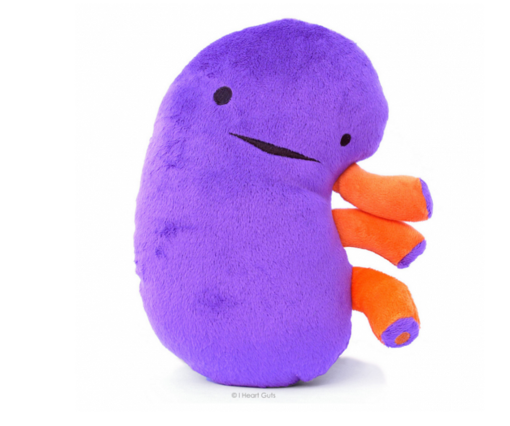 Plush anatomical purple kidney with orange valves and black embroidered eys and mouth.