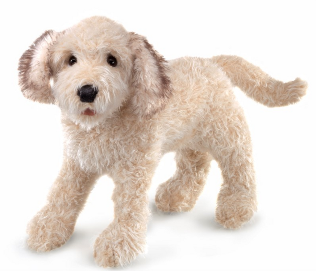 Realistic Labradoodle puppet standing with cloud like fur and sweet puppy dog eyes. 