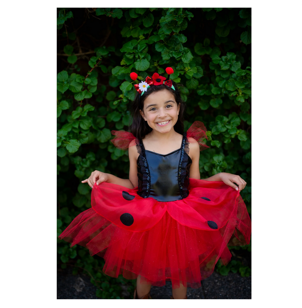 Ladybug Dress & Headband 5/6 Ladybug Dress & Headband 5/6