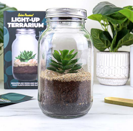 plant terrarium kit with light Light Up Terrarium – World of Mirth