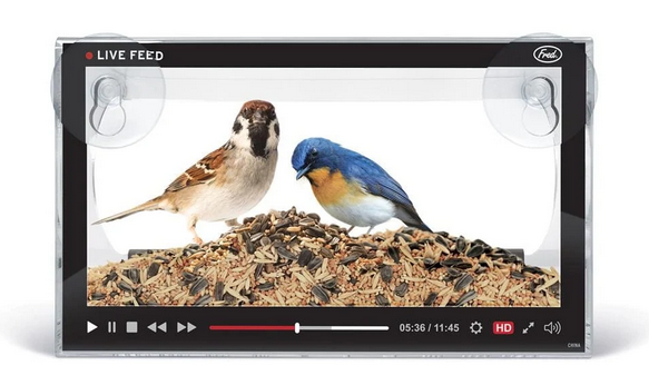Live Feed bird feeder. Looks like a live video feed of birds eating when you attach it to your window.