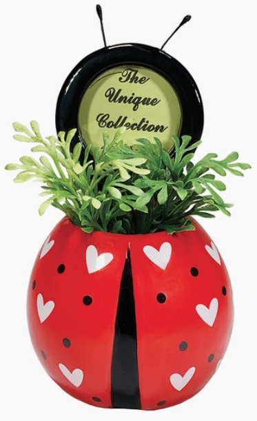 Small ladybug style planter with a small picture frame on top, making person in photo look like they are the ladybug.
