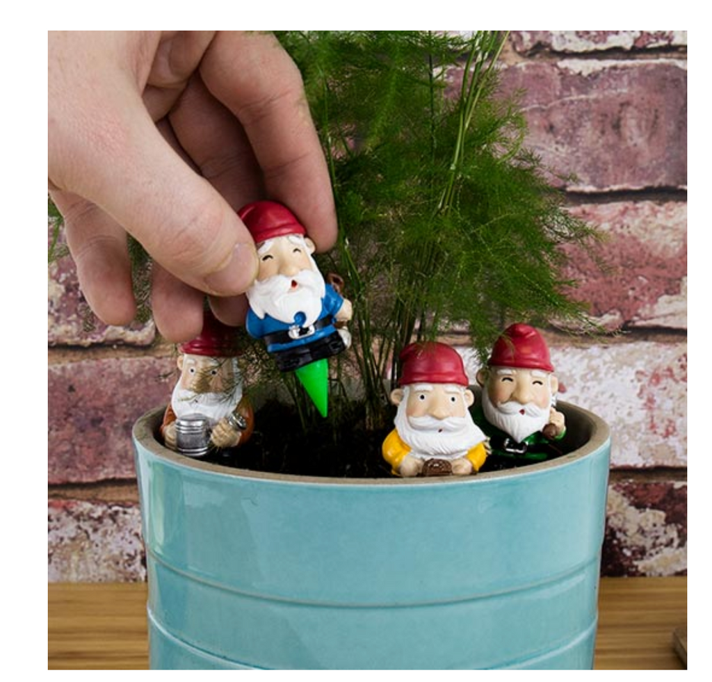 Mini plant pot gnomes in a potted plant.