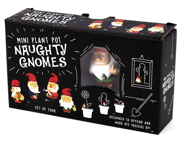 mini plant pot gnomes Mini Plant Pot Naughty Gnomes