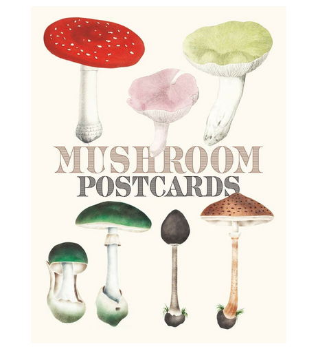 Cover of Mushroom postcards book. 