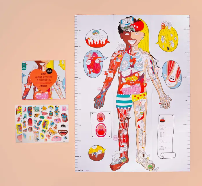 A detailed view of the My Body Growth Chart and Poster with Stickers.  The full view of the poster shows the human body under the skin as well as above.  There are highlighted areas of the body such as the heart, the mouth and bones.  Sticker sheets with body parts and functions are included. 