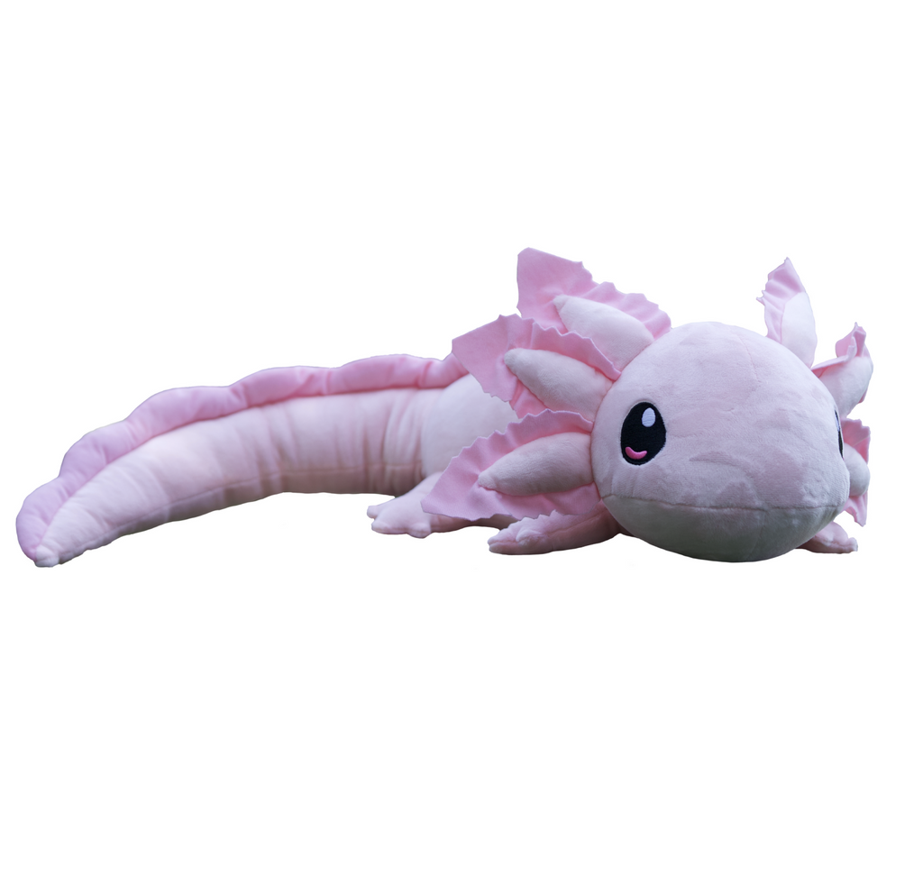 This plush is designed after the axolotl, an endangered salamander native to central Mexico. Measuring 26" from head to tail and weighing 4 pounds, our realistic axolotl plush provides a sense of comfort and calmness in times of anxiety or nervousness.