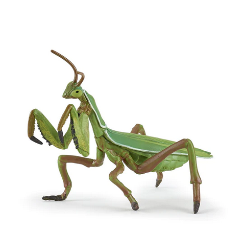 Hand painted and highly detailed with a natural color-scheme of greens and browns that replicates the real praying mantis.