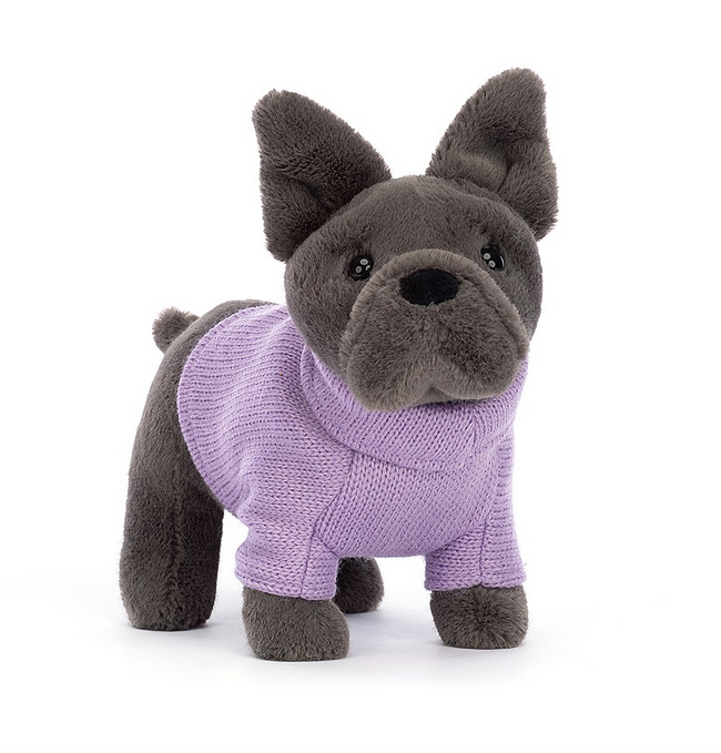This blue-grey pup has sweet stocky legs, a rumpled muzzle and a perky short tail nad is sporting a purple sweater. 