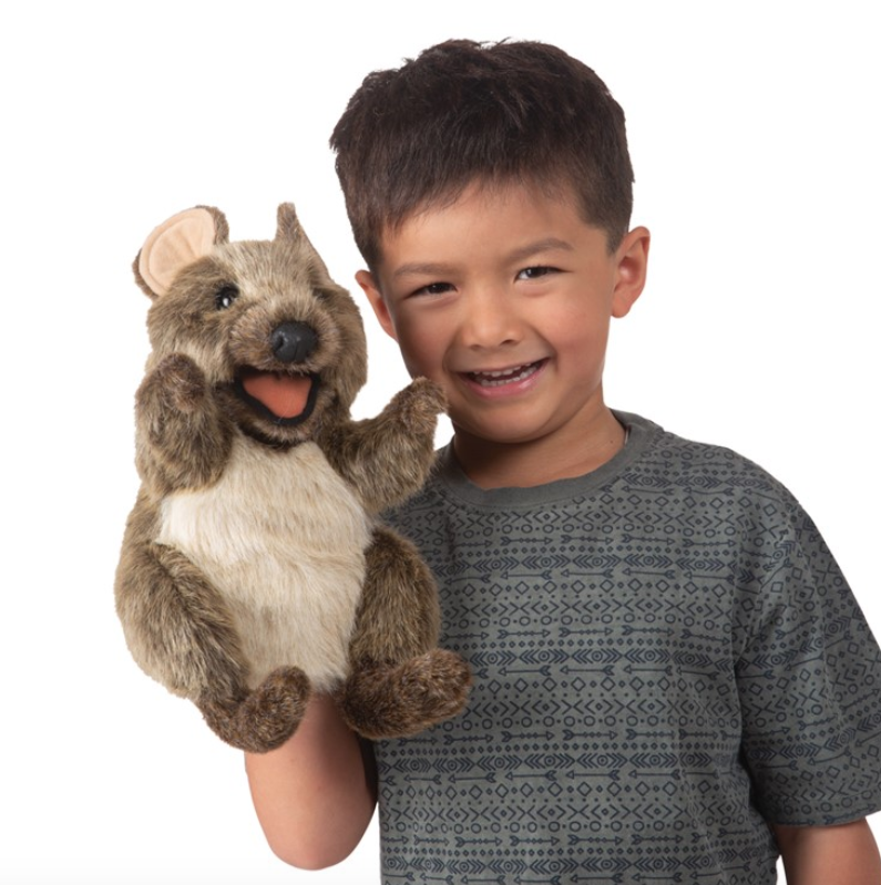 A child holding the Quokka puppet on his hand. 