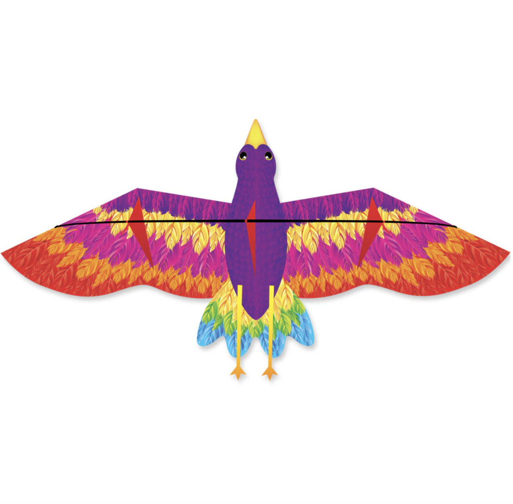 Rainbow bird with outstretched wings shaped kite.