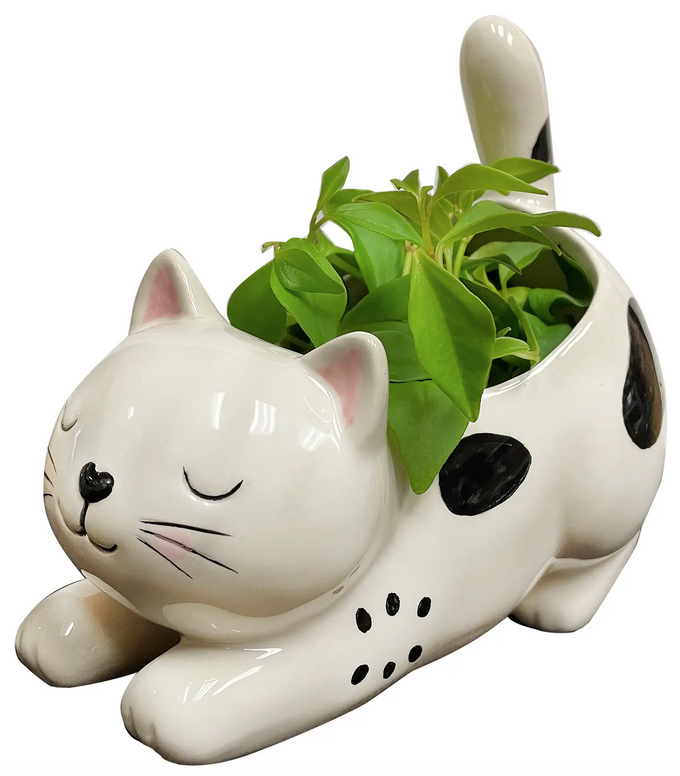 Ceramic planter shaped like a kitty who is white with black spots, who is stretching with it's legs out in front and it's butt up in the air. There is a philodendren in it. 