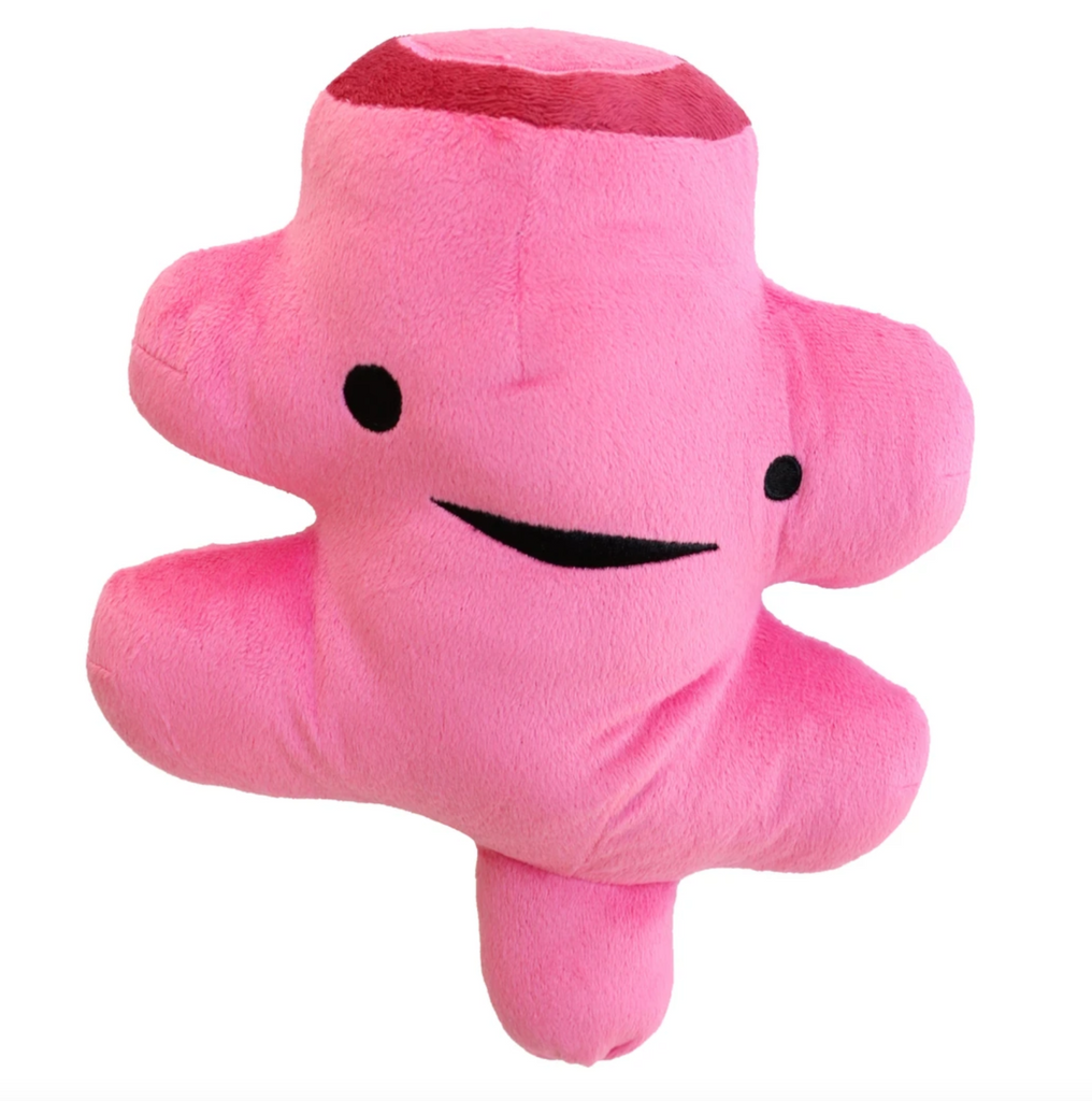Pink plush rectum with a happy embroidered face.