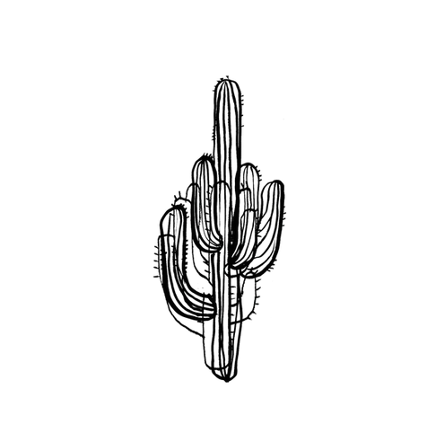 Detail drawing of Saguaro Cactus tattoo. 
