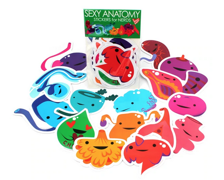 Assorted Sexy Anatomy Stickers.