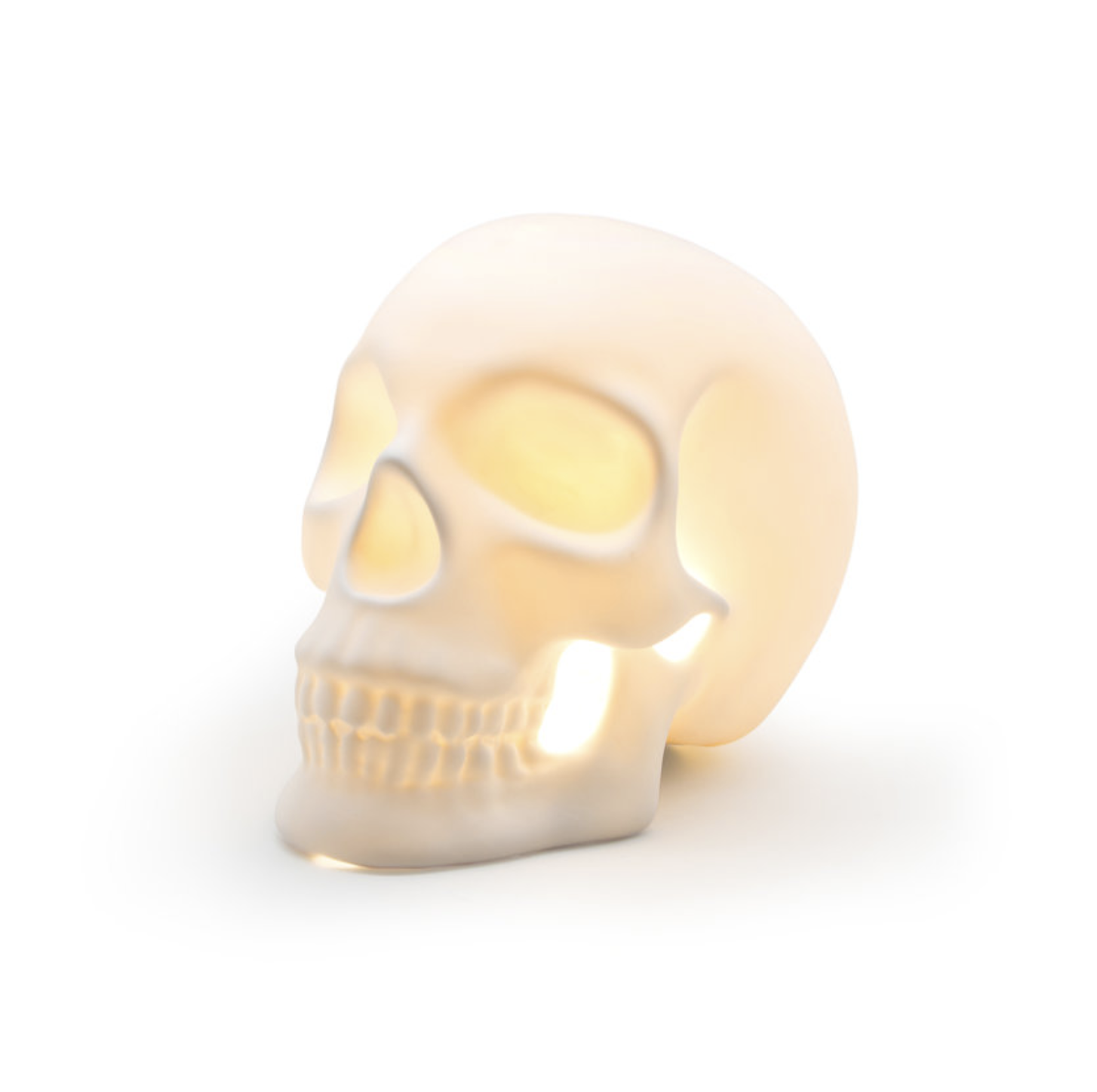 Skull Light