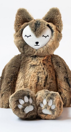 Slumberkins Fox Kin Storybook Set – World of Mirth