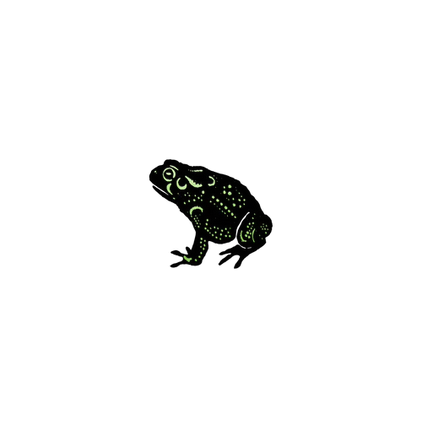 Detail drawing of speckled foil frog temporary tattoo. 